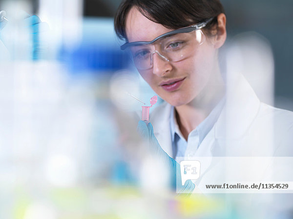 Forscher pipettiert DNA-Probe in Eppendorf-Fläschchen im Labor