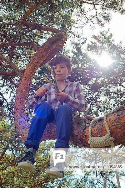 Junge auf Baum sitzend  Wetzstock mit Messer schärfen