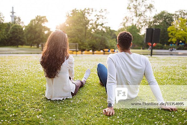 Rückansicht des jungen Paares auf Gras sitzend