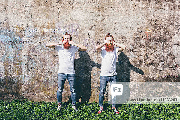 Porträt junger männlicher Hipster-Zwillinge mit roten Bärten vor der Wand stehend  die Hände Mund und Ohren bedeckend