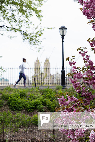 Läuferin läuft im Frühling im Central Park,  New York,  USA