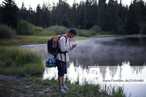 Männlicher Wanderer liest Smartphone-Text am nebligen See  Mount Hood National Forest  Oregon  USA
