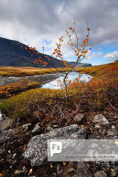 Herbstfarbiges Tal am Fluss Malaya Belaya  Khibiny-Gebirge  Kola-Halbinsel  Russland