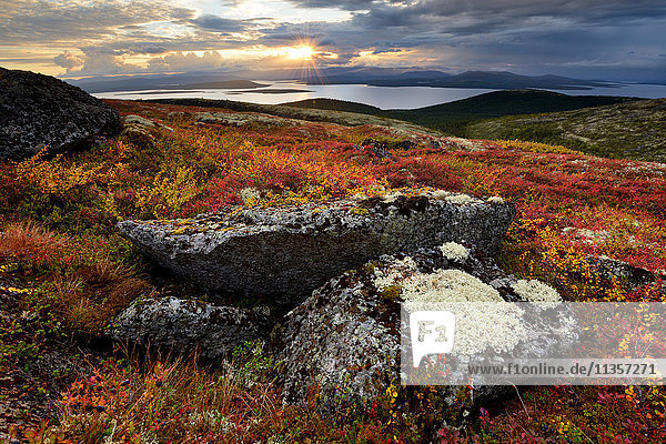 Autumn coloured landscape at Lake Imandra  Khibiny mountains  Kola Peninsula  Russia