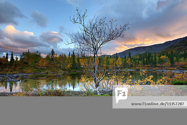 Landschaft mit Herbstfarben an den Polygonalen Seen  Khibiny-Gebirge  Kola-Halbinsel  Russland