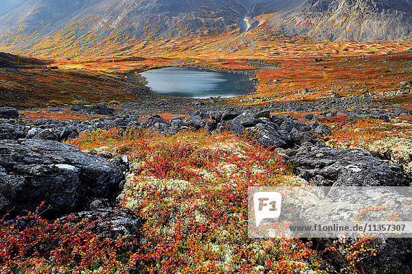 Herbstfarben im Tal des Malaya-Belaja-Flusses  Khibiny-Gebirge  Kola-Halbinsel  Russland