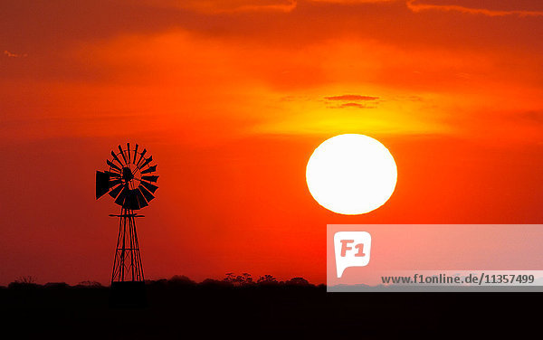 Windmühle bei Sonnenuntergang  Etoscha-Nationalpark  Namibia