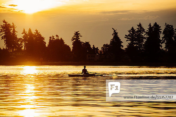 Silhouetted man rowing single scull on Puget Sound at sunset  Winslow  Bainbridge Island  Washington State  USA
