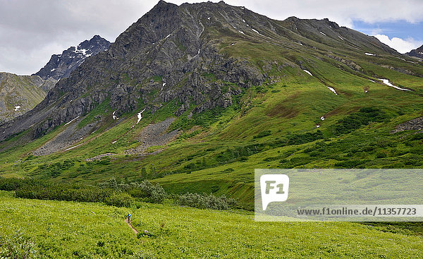 Fernblick einer Frau  die den Gold Mint Trail betreibt  Talkeetna Mountains in der Nähe des Hatcher Passes  Alaska  USA