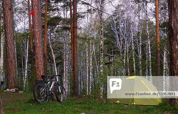 Fahrrad und Zelt im Wald