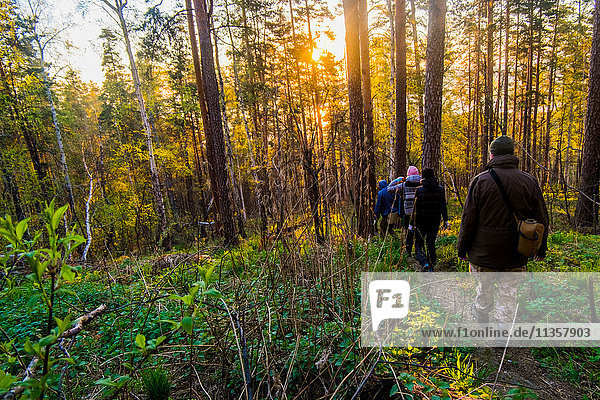 Wanderer durchqueren Wald bei Sonnenuntergang