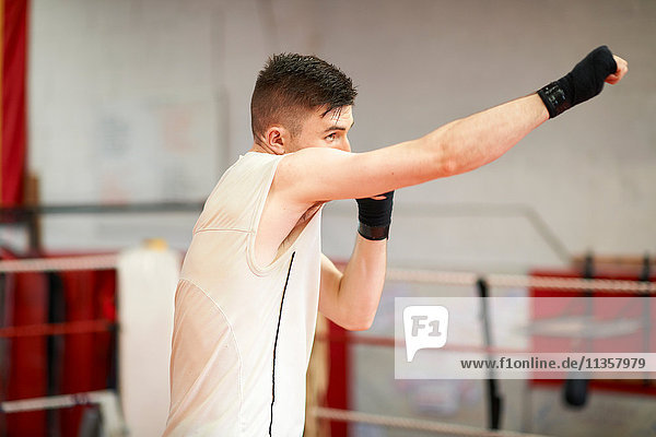 Boxer beim Training im Boxring