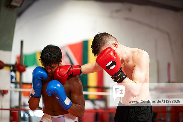 Sparring zweier Boxer im Boxring