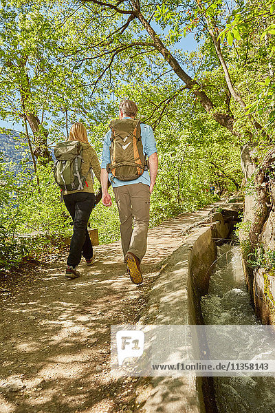 Mature couple hiking along country road  rear view  Meran  South Tyrol  Italy