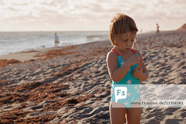 Mädchen untersucht Stock am Strand  Blowing Rocks Preserve  Jupiter Island  Florida  USA
