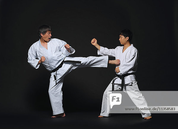 Japanische Karatemeister kämpfen