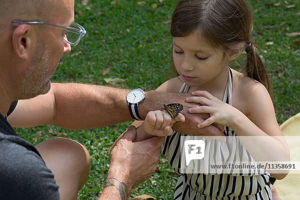 Father and daughter looking at monarch butterfly