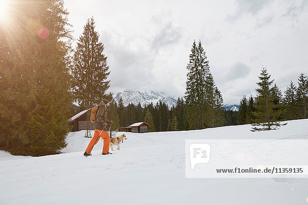 Mid adult man snowshoeing across snowy landscape  dog beside him  Elmau  Bavaria  Germany