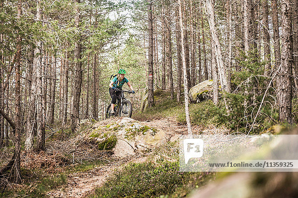 Woman mountain biking in forest  Bozen  South Tyrol  Italy