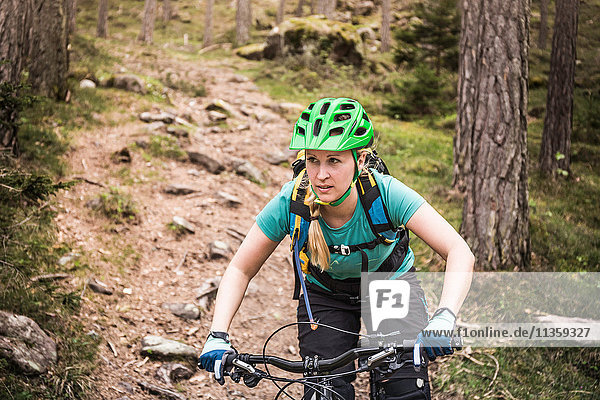 Mountainbike-Frau  Bozen  Südtirol  Italien
