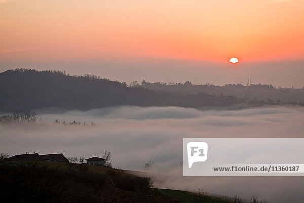 Talnebel bei Sonnenuntergang  Langhe  Piemont. Italien