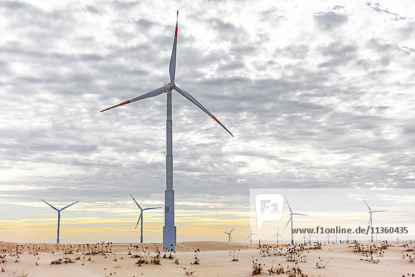 Windturbinen in Wüstenlandschaft  Taiba  Ceara  Brasilien