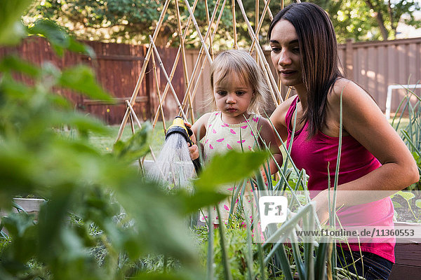 Mutter und Tochter im Garten  gießen die Pflanzen zusammen mit dem Schlauch