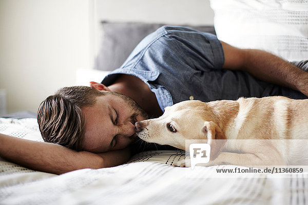 Young man lying on bed with dog licking his face