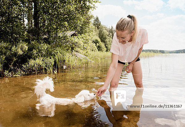 Frau mit Hund Coton de tulear im See  Orivesi  Finnland