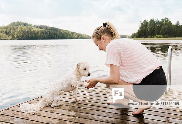 Woman holding coton de tulear dog's paw after swimming  Orivesi  Finland