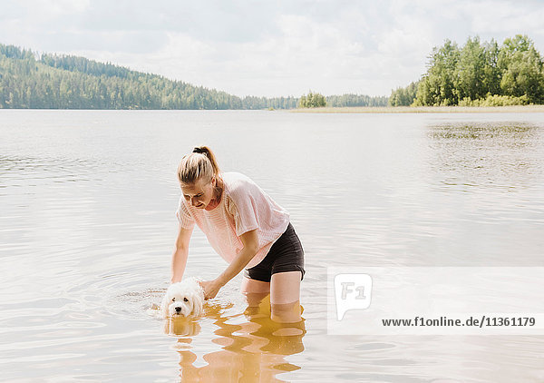 Frau trainiert coton de tulear Hund zum Schwimmen im See  Orivesi  Finnland