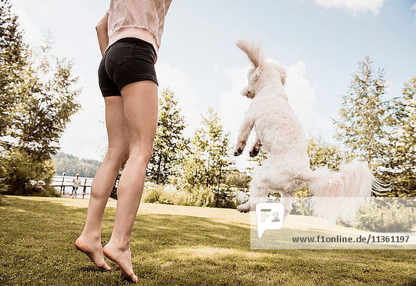Frau springt mit coton de tulear Hund im Garten  Orivesi  Finnland