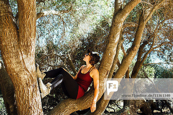 Woman sitting in tree looking up
