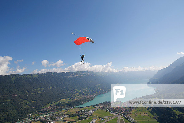 Fallschirmspringer mit Fallschirm über dem See  Interlaken  Bern  Schweiz