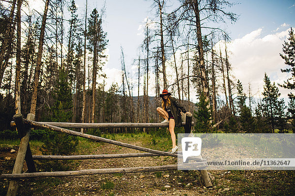 Woman in forest climbing on wooden structure  Rocky Mountain National Park  Colorado  USA