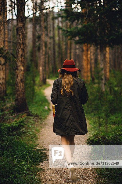 Rückansicht einer Frau  die im Wald spazieren geht  Rocky Mountain National Park  Colorado  USA