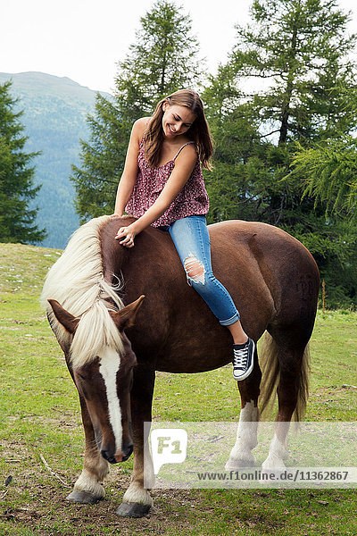 Junge Frau auf Palomino-Pferd sitzend  Sattelbergalm  Tirol  Österreich