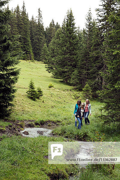 Drei Freundinnen zu Fuß am Waldbach  Sattelbergalm  Tirol  Österreich