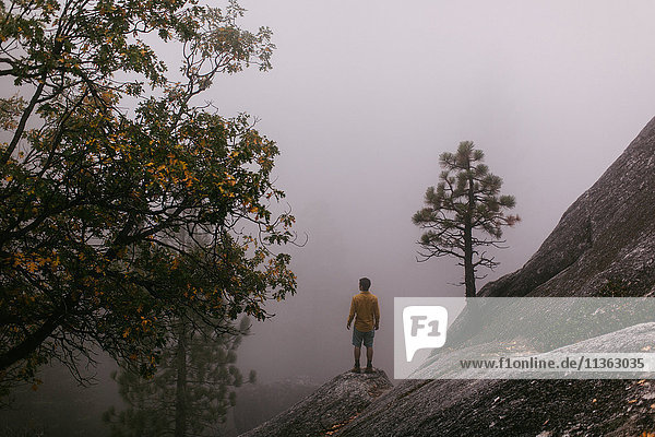Junger Mann auf Fels stehend  Blick auf Ansicht  erhöhte Ansicht  nahe Shaver Lake  Kalifornien  USA