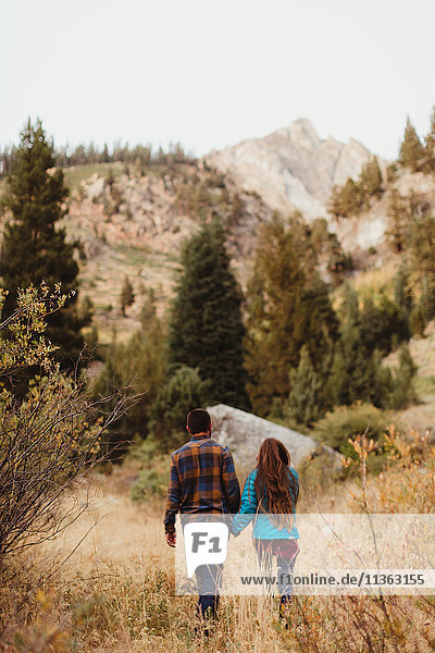 Young couple walking through field  rear view  Mineral King  Sequoia National Park  California  USA