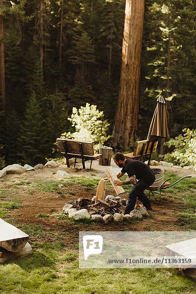 Young man building camp fire  Mineral King  Sequoia National Park  California  USA
