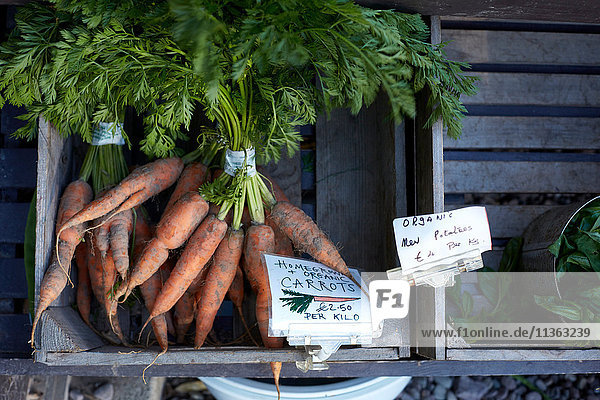 Hausgemachte Karotten zum Verkauf  Nahaufnahme  Cork  Irland