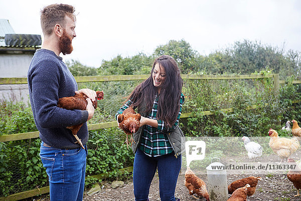 Young couple on chicken farm holding chickens