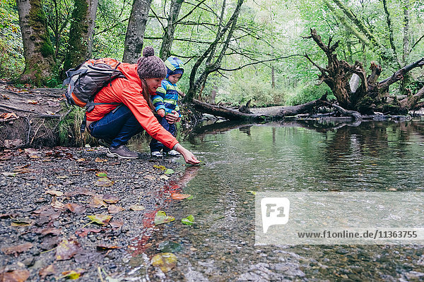 Mother and son exploring stream in forest  Vancouver  British Columbia  Canada