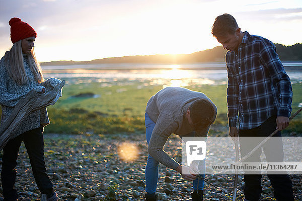 Drei erwachsene Freunde sammeln bei Sonnenuntergang Treibholz im Meer