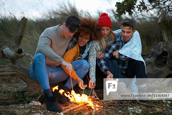 Vier erwachsene Freunde drängten sich zusammen  um in der Abenddämmerung am Strand Marshmallows zu rösten