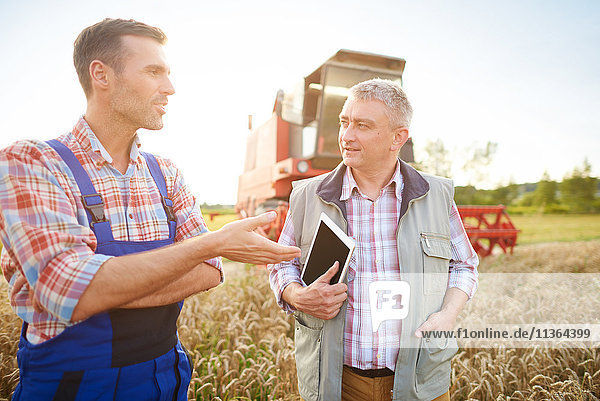 Landwirte im Weizenfeld im Gespräch