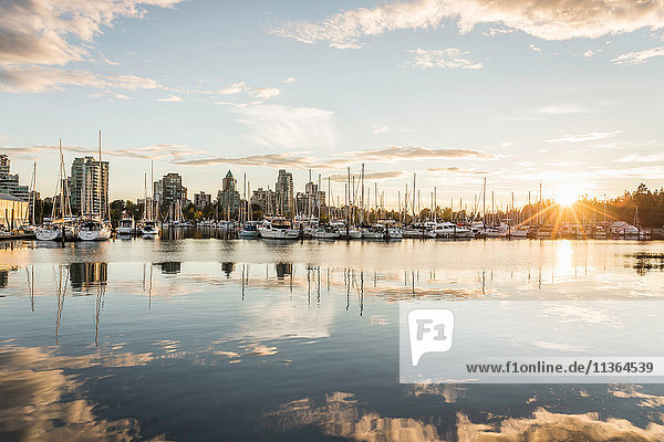 Yachthafen und Stadtsilhouette in der Abenddämmerung  Vancouver  Kanada
