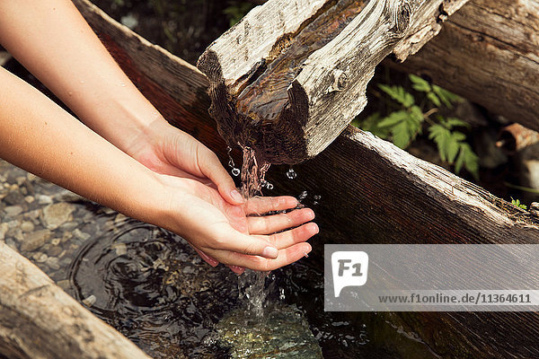 Female hands under fresh running trough water  Sattelbergalm  Tyrol  Austria