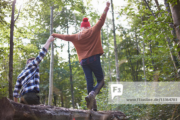 Couple in forest holding hands balancing on fallen tree